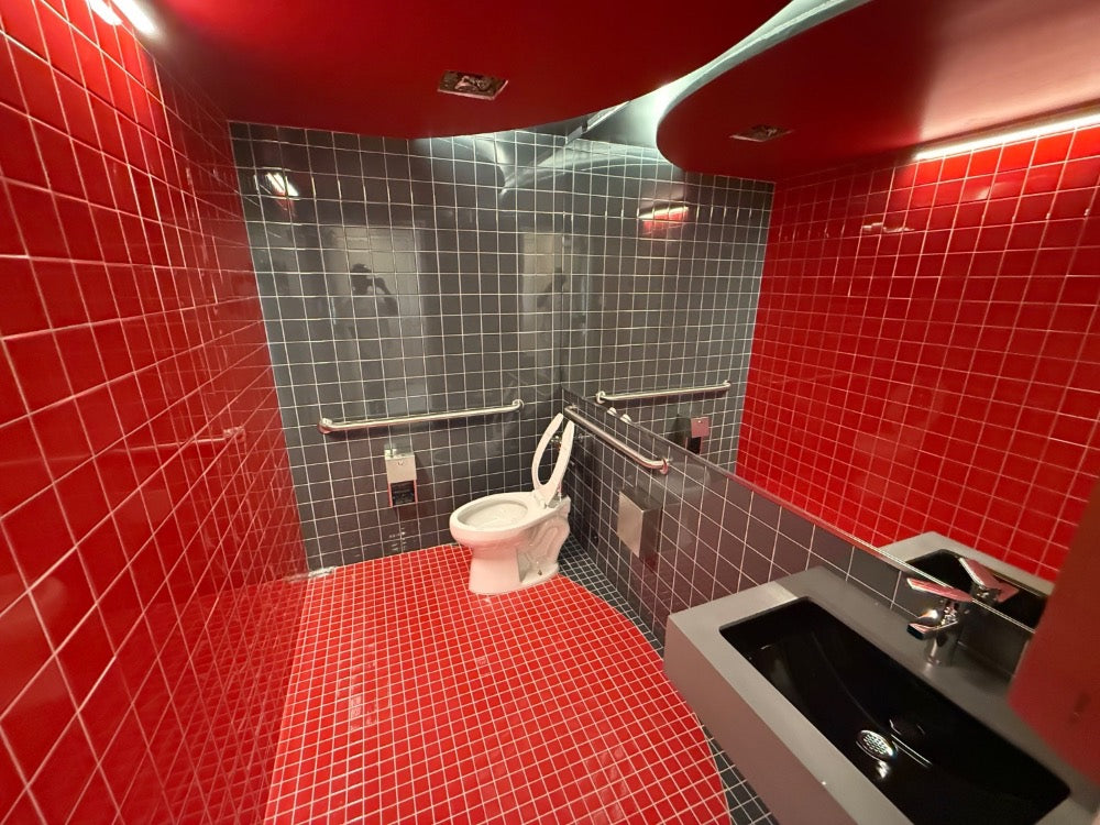 Finished restroom in red and charcoal tile with grab bars